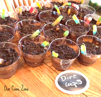 Dirt cups with worms