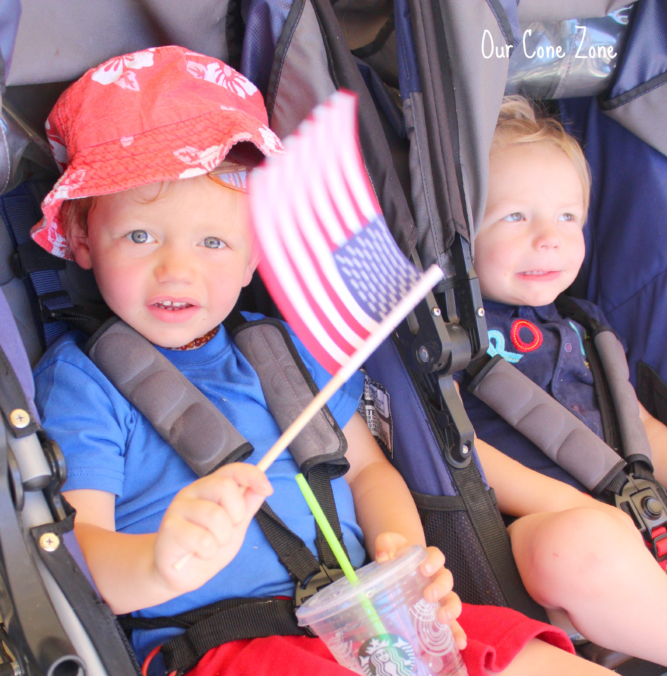 Patriotic Kids in stroller