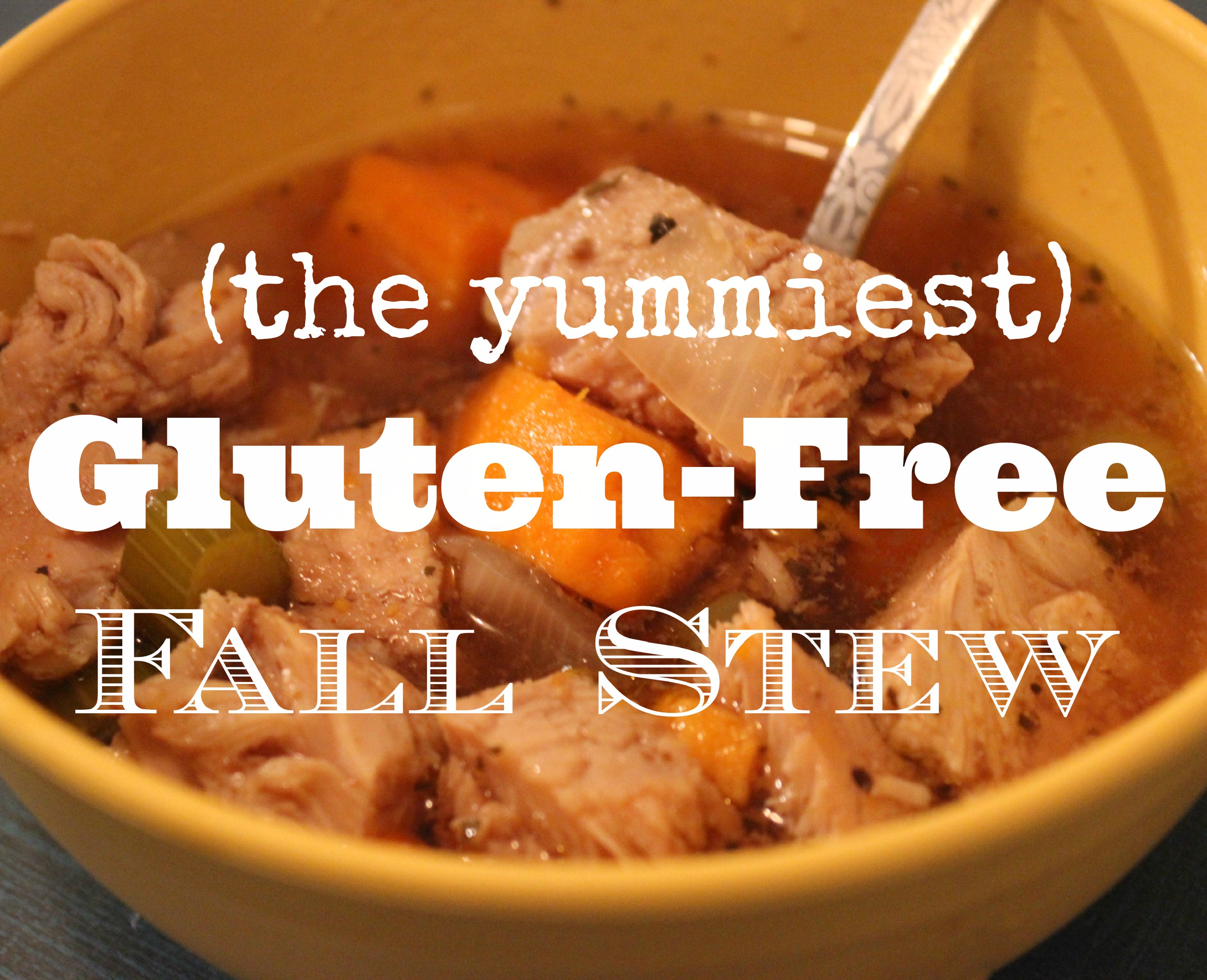 Gluten Free fall stew